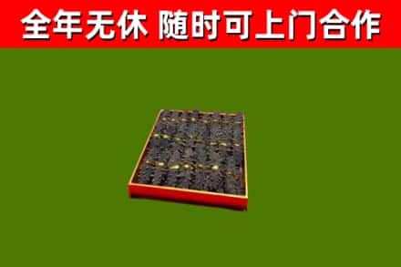 京口区回收海参